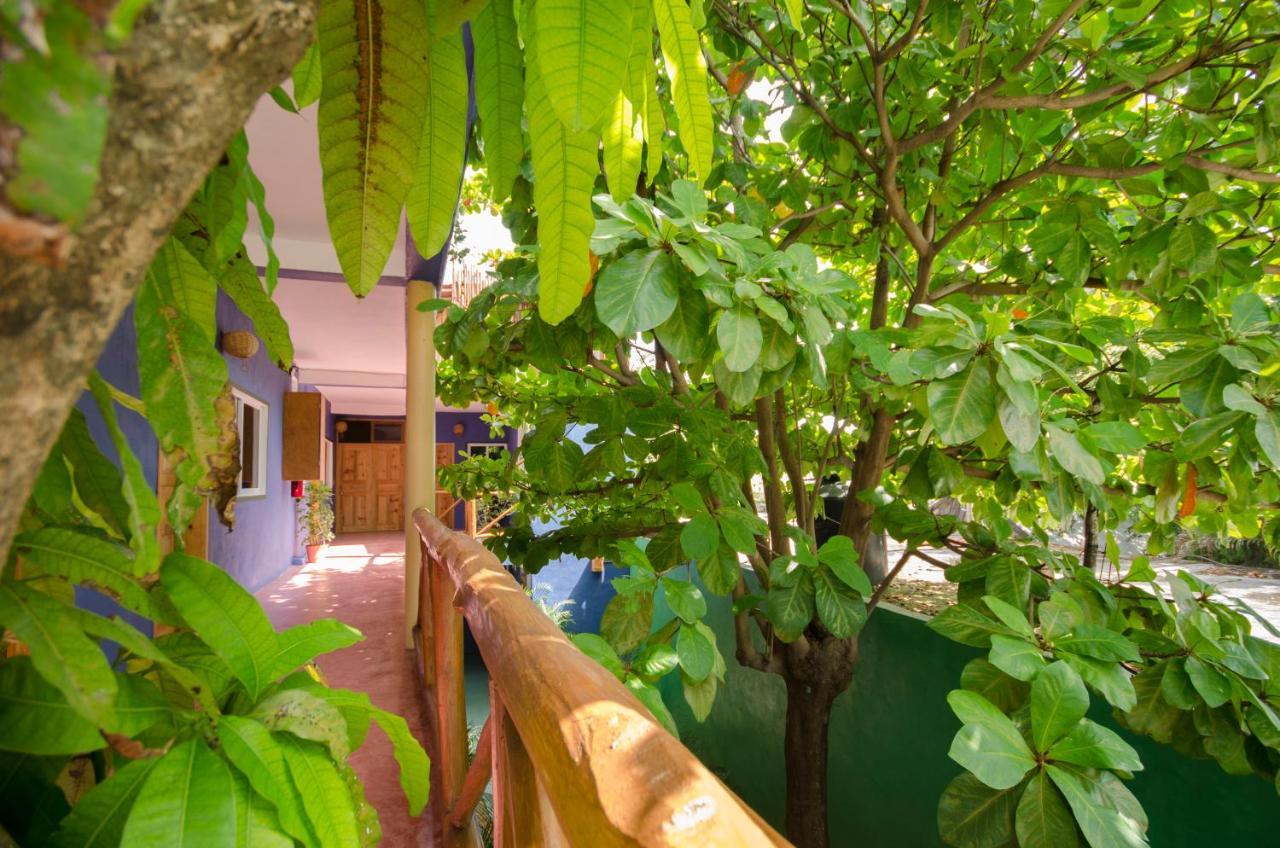Casa Almendro Hotel ตูลุม ภายนอก รูปภาพ