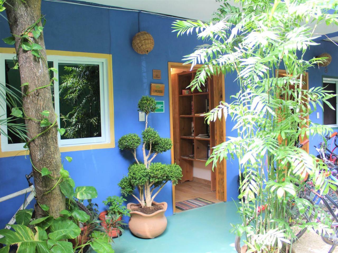Casa Almendro Hotel ตูลุม ภายนอก รูปภาพ